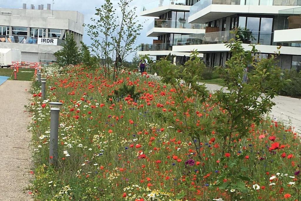 Bo Med Stil Og Udsigt Til Aarhus Lystbadehavn Διαμέρισμα Εξωτερικό φωτογραφία